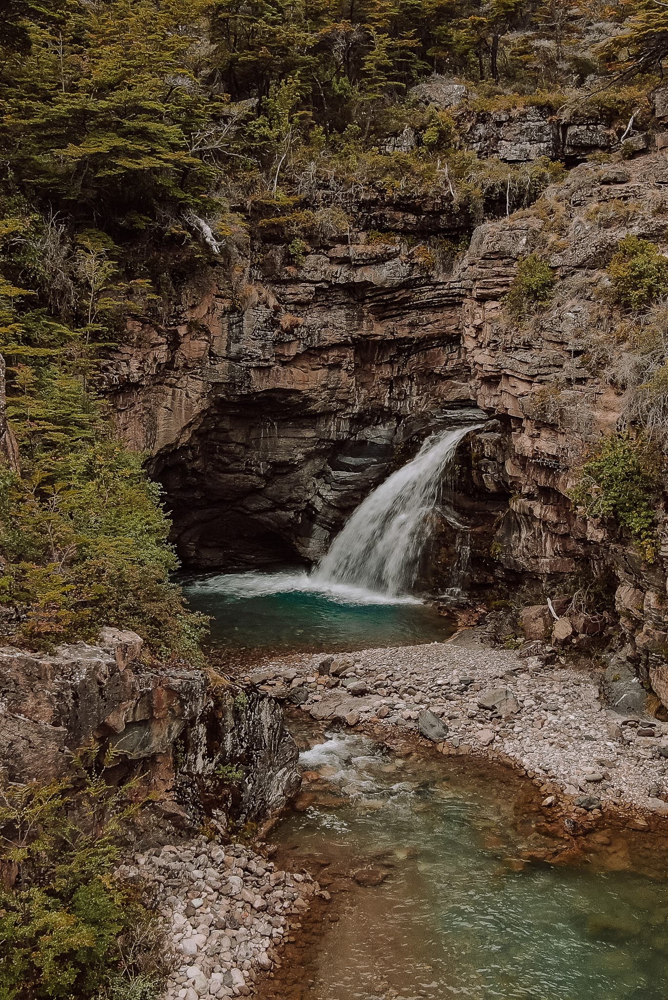 Cascada con Bosque